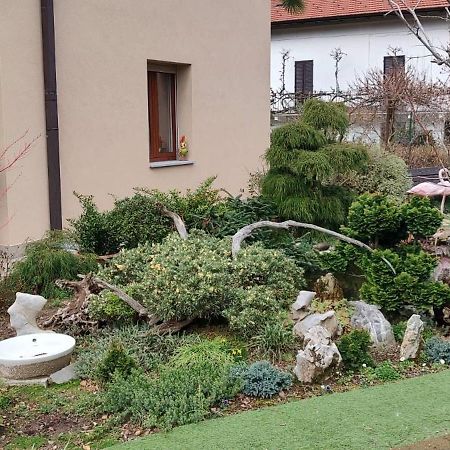 B&B Vegan La Mucca Felice - Grazioso Appartamento Nel Verde Rancio Valcuvia Exterior photo