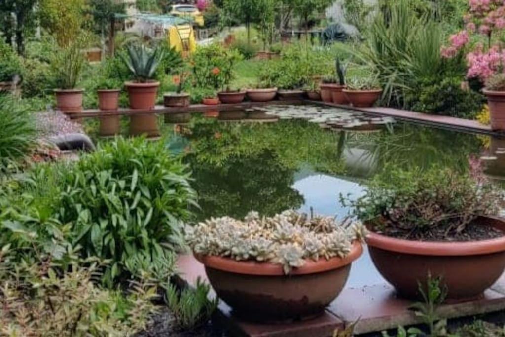 B&B Vegan La Mucca Felice - Grazioso Appartamento Nel Verde Rancio Valcuvia Exterior photo
