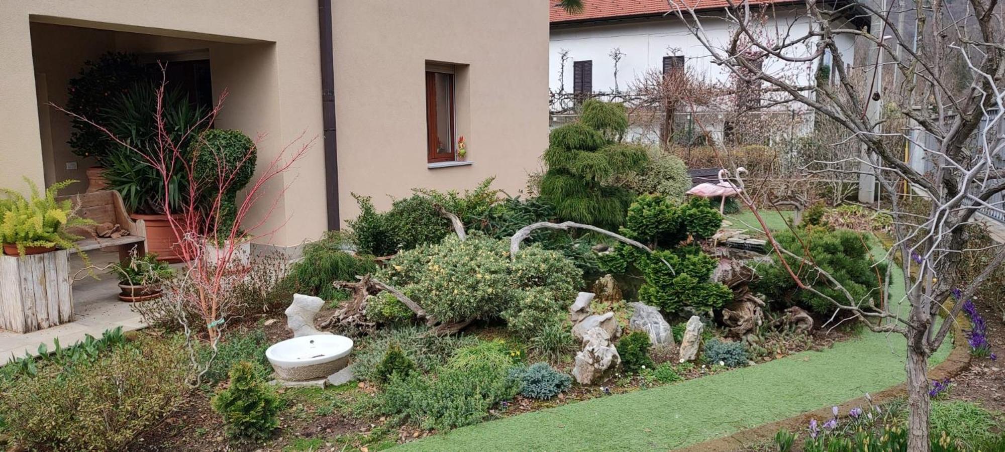 B&B Vegan La Mucca Felice - Grazioso Appartamento Nel Verde Rancio Valcuvia Exterior photo