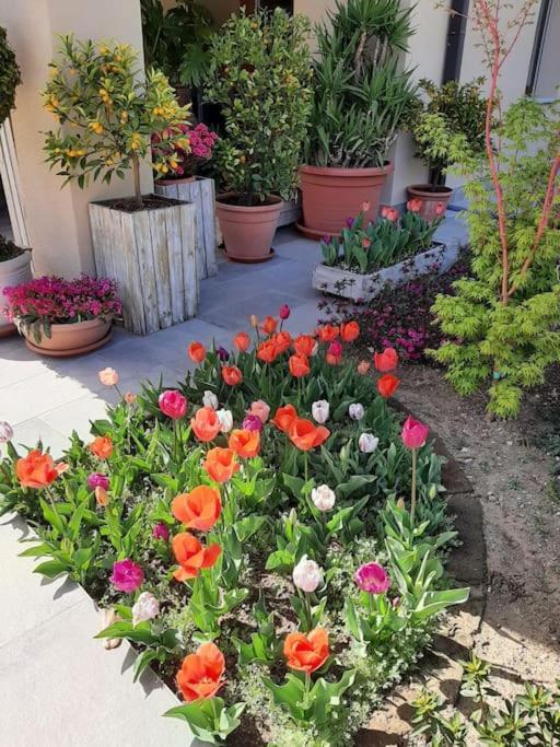 B&B Vegan La Mucca Felice - Grazioso Appartamento Nel Verde Rancio Valcuvia Exterior photo