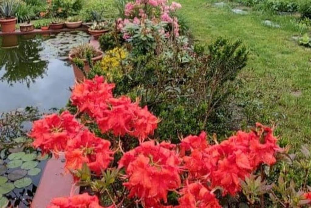 B&B Vegan La Mucca Felice - Grazioso Appartamento Nel Verde Rancio Valcuvia Exterior photo