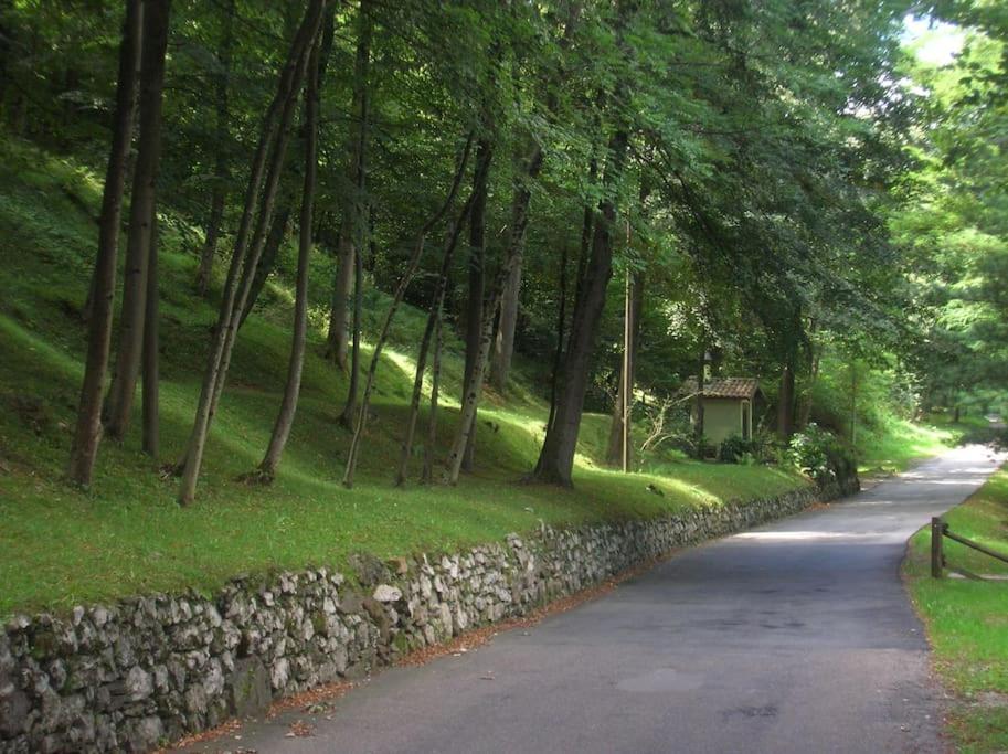B&B Vegan La Mucca Felice - Grazioso Appartamento Nel Verde Rancio Valcuvia Exterior photo