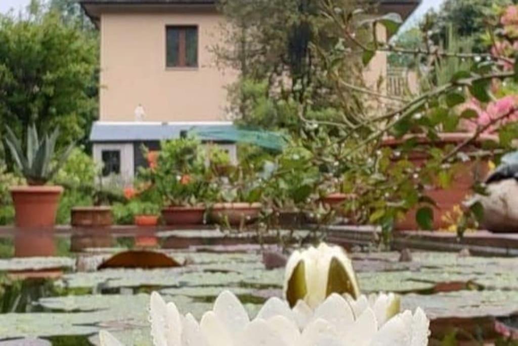 B&B Vegan La Mucca Felice - Grazioso Appartamento Nel Verde Rancio Valcuvia Exterior photo